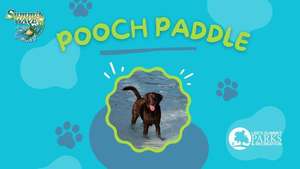 Pooch Paddle