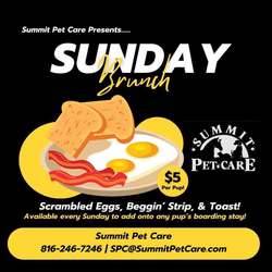 Sunday Brunch at Summit Pet Care