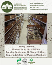 Lifelong Learners: Museum: From Top to Bottom