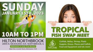 Tropical Fish Swap Meet