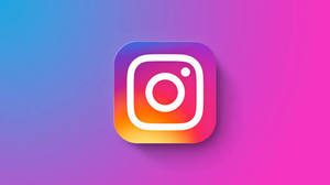 Instagram Basics Workshop