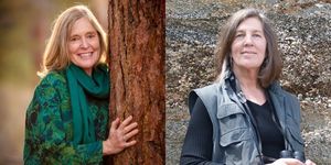 Marina Richie with Maria Mudd Ruth: Feathered Forest: Aloft with Birds in Ancient Trees