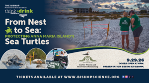 think + drink presents: From Nest to Sea: Protecting Anna Maria Island’s Sea Turtles