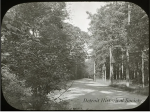 Native Roots: Indigenous History of Belle Isle - quad anniversary lecture series