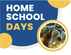 Homeschool History Day