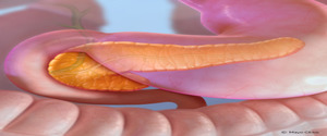 Innovations in Management of Pancreatic Conditions and Therapies: The Mayo Clinic IMPACT Course 2023