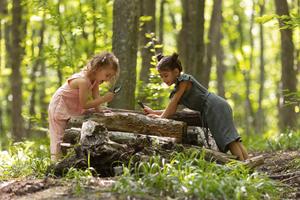 Picture Perfect STEM | Professional Development Workshop