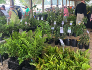 Plant Sale Fall Gardens Market