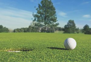 WHS 50th Class Reunion Golf Outing