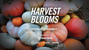Harvest Blooms