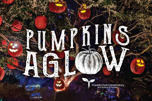 Pumpkins Aglow