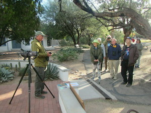 Birding Agua Caliente Park