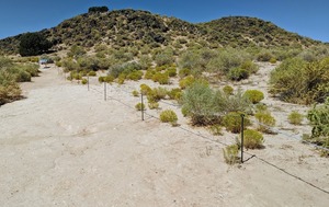 Guided Hike of Piedras Marcadas Canyon