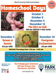 Homeschool Days: The Dirt on Soil (A 4-class series)