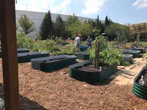 Garden Membership
