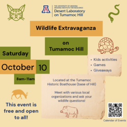 Wildlife Extravaganza on Tumamoc Hill