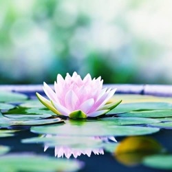 Tuesday Simply Meditate