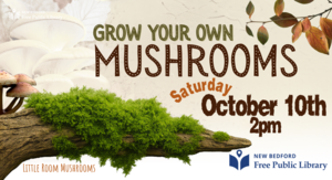 Grow Your Own Mushrooms