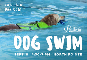 Dog Swim