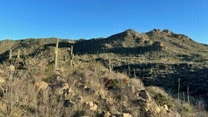Sonoran Desert Geology Hike – Wild Burro Canyon