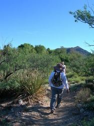 Rocks of the Rincon Mountains