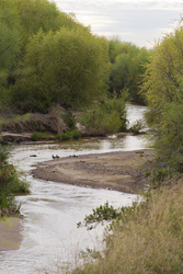 Family Nature Exploration: The Santa Cruz River