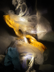 Opening Reception for Between Worlds