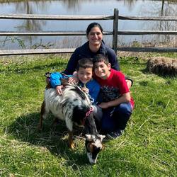Goat Cuddle Brigade at Lyman Orchards