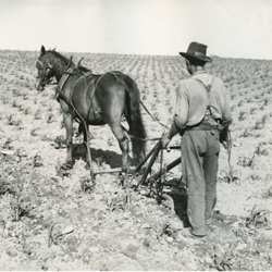 Perspectives: Who is a Farmer?