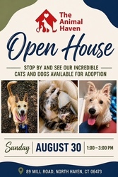The Animal Haven Open House