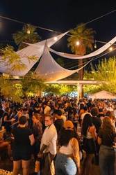 Vegan Night Market