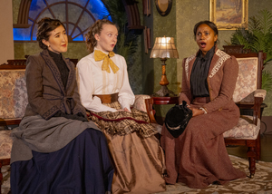 In the Next Room (Or the Vibrator Play)