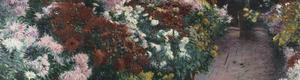 Isabella Stewart Gardner Museum: Celebrating Chrysanthemums