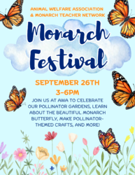 Monarch Festival