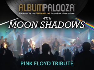 Pink Floyd Tribute - Moon Shadows