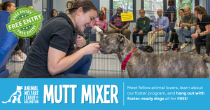 B.Y.O.B Mutt Mixer