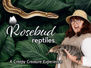 Rosebud Reptiles: A Creepy Creature Experience