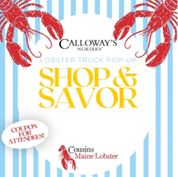Maine Lobster Event