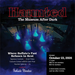 Haunted: The Museum After Dark