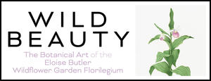 Wild Beauty: The Botanical Art of the Eloise Butler Wildflower Garden Florilegium