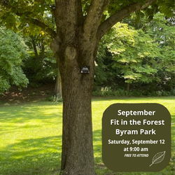 Fit in the Forest September