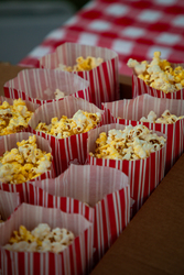 Movie Night at Mollie's: The Wizard of Oz