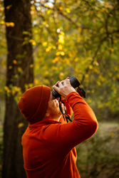 Bird Walk for Beginners