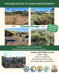 Planting Party at Tijuana Slough National Wildlife Refuge!