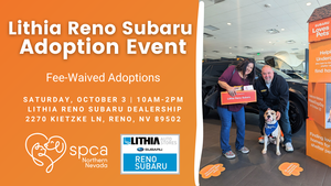 SPCA-NN & Lithia Reno Subaru's FEE-WAIVED Adoption Event