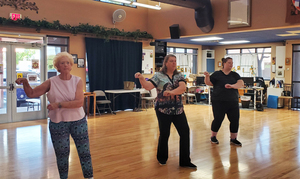 Crane Dance- Gentle Tai Chi