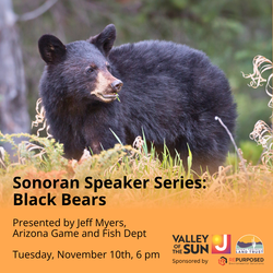 Sonoran Speaker Series: Black Bears