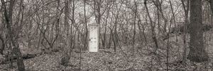 Human : Nature by Mark Golbach