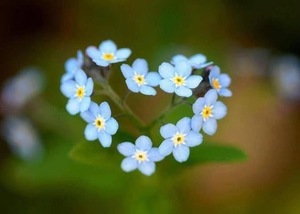 Meditation Retreat – Love, The Great Protector