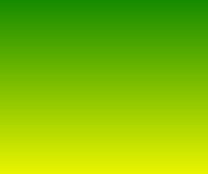 ZZ Probe C